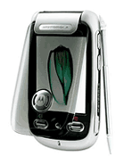 Best available price of Motorola A1200 in Npm