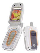 Best available price of Motorola V501 in Npm
